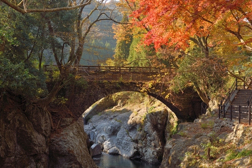 MUSUBI: Embracing the Colors of Autumn in Kyushu