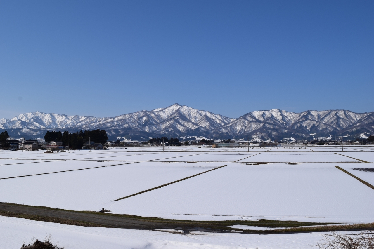 MUSUBI: Winter Blues in Japan