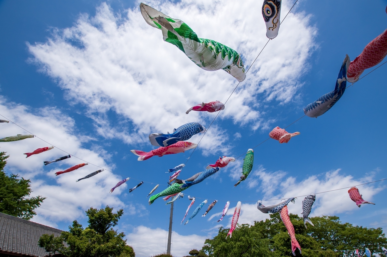 MUSUBI: A Glance at Golden Week